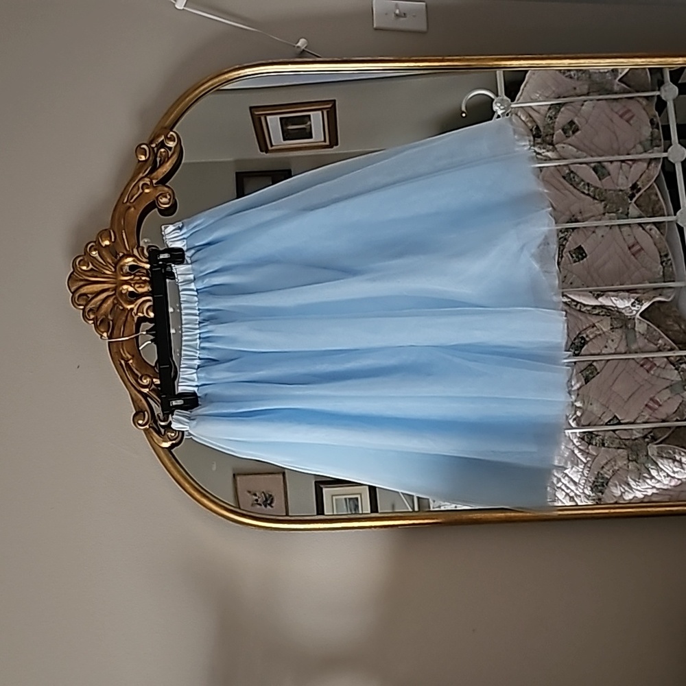 Blue tulle skirt